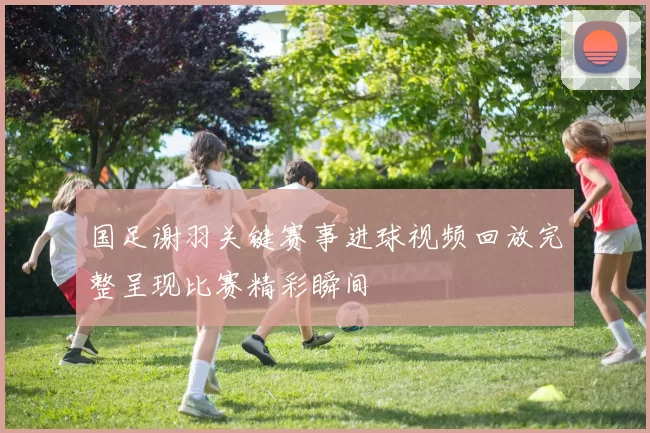 国足谢羽关键赛事进球视频回放完整呈现比赛精彩瞬间